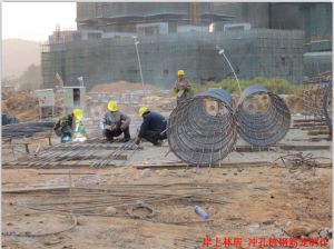 岸上林居成功案例